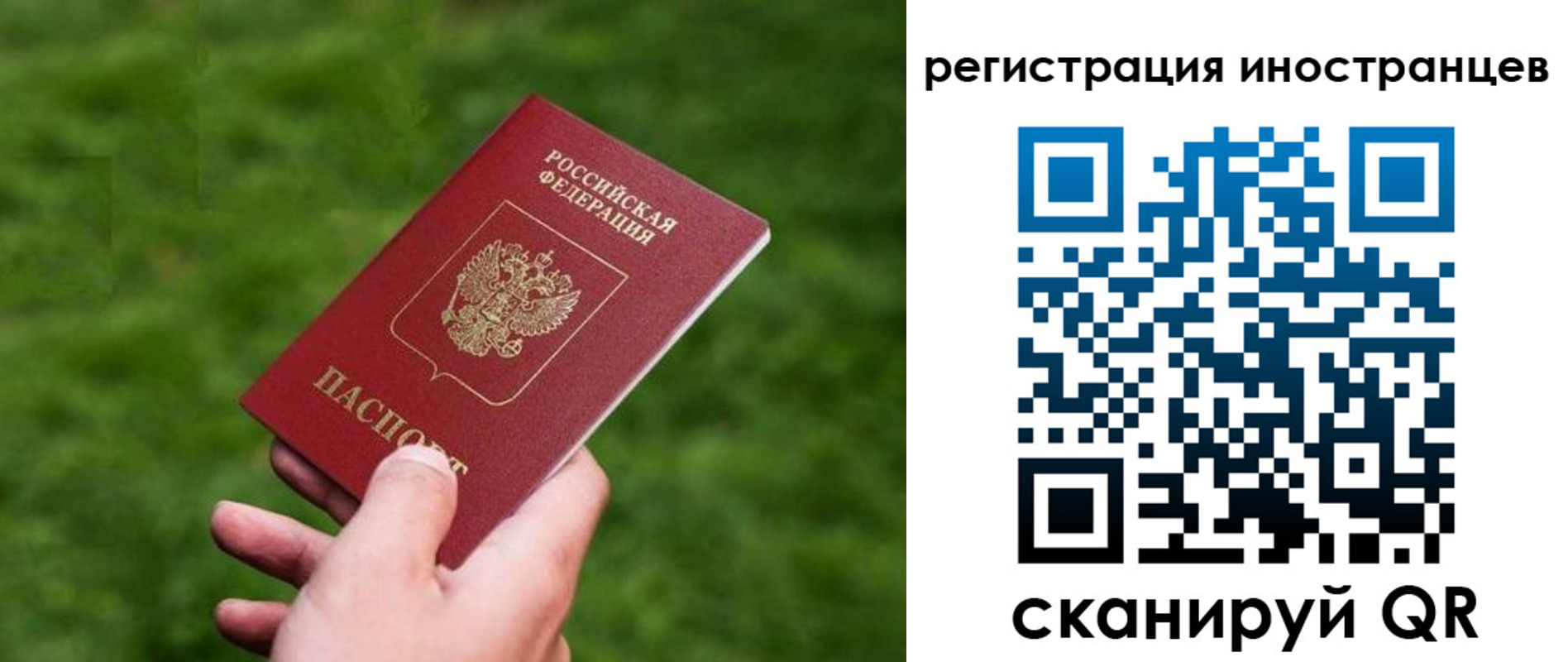 прописка ребенка в Сураже
